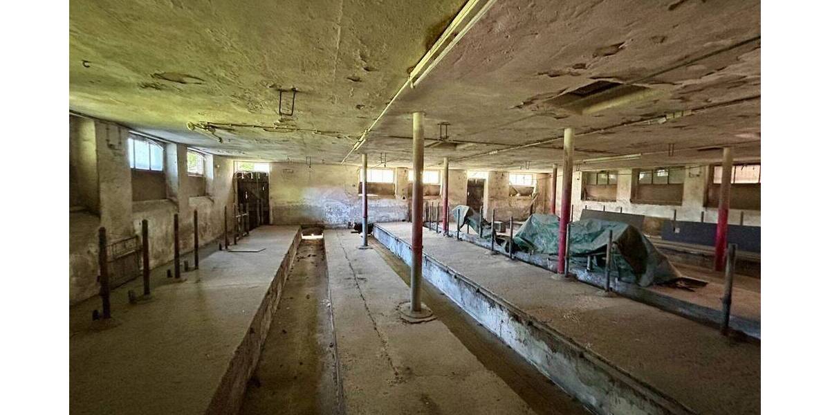 Bauernhaus, Landhaus Öhringen / Obermaßholderbach Obermaßholderbach - 4 Zimmer, 110 m&sup2;, 590.000&euro; | Angebot:26833696