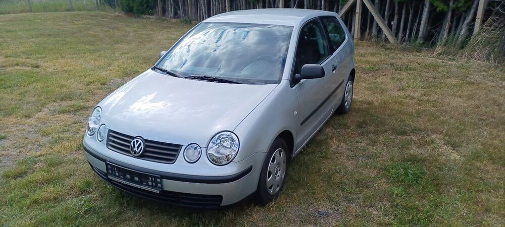 Polo