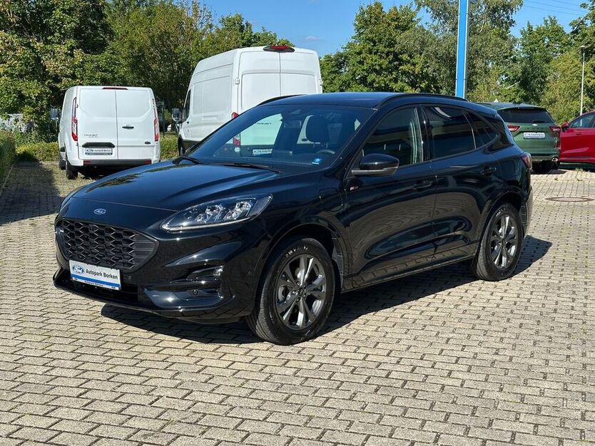 Kuga