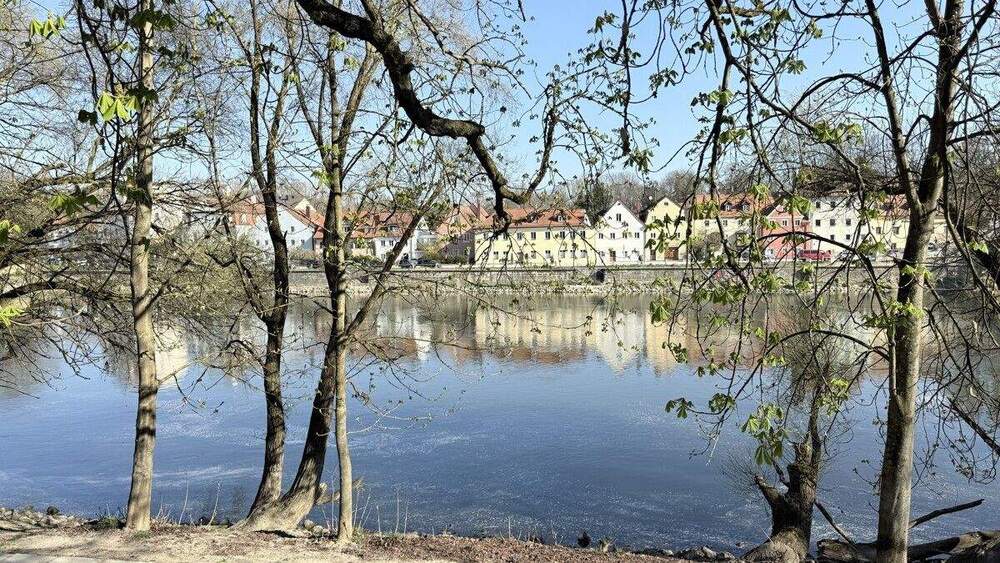 Mehrfamilienhaus, Wohnhaus Regensburg Innenstadt - 1 Zimmer, 363 m&sup2;, 1.599.000&euro; | Angebot:25744421