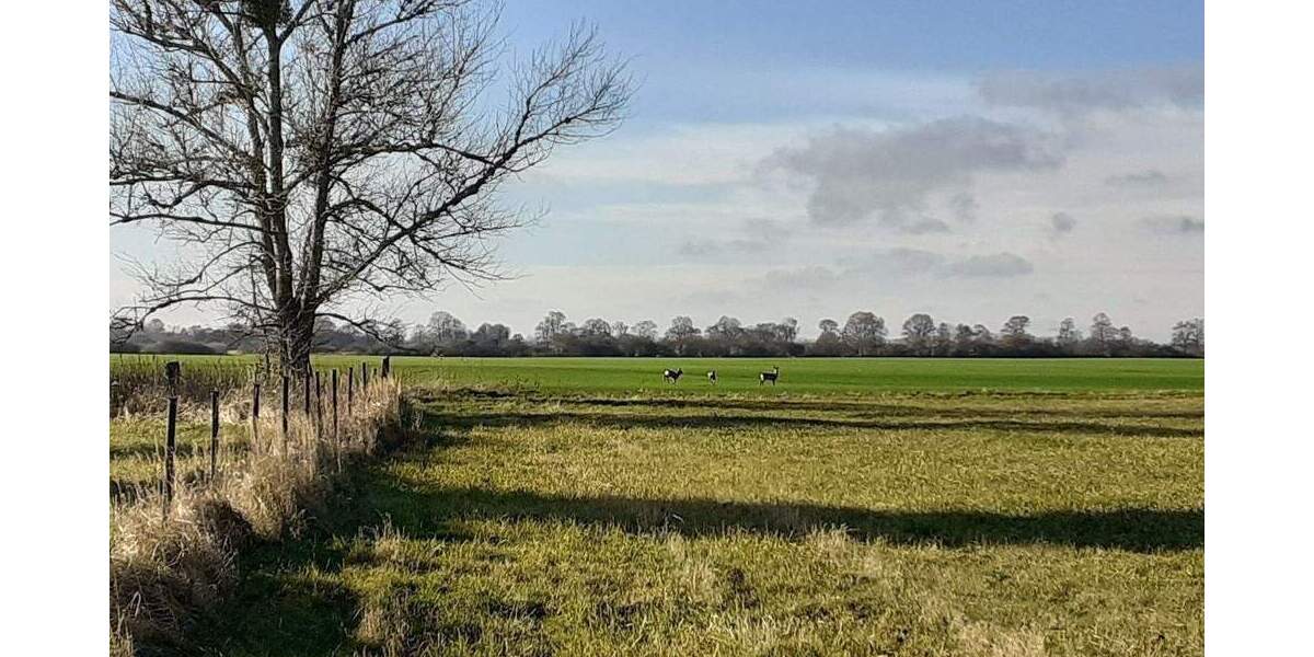 Grundstück Ducherow Schwerinsburg - 56.000&euro; | Angebot:26055327