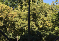 Möblierte EinZimmer Wohnung an der Uni Köln Lindenthal