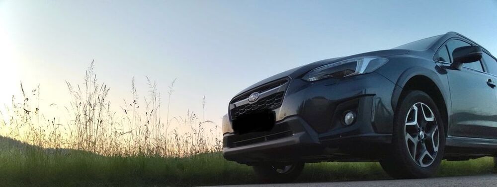XV