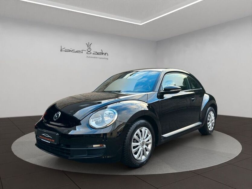Beetle
