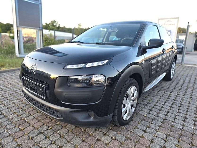 C4 Cactus