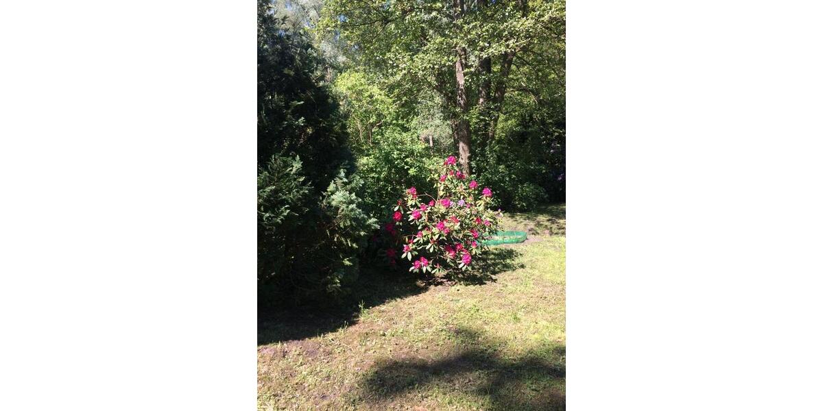 Bungalow Chorin - 1.5 Zimmer, 38 m&sup2;, 119.000&euro; | Angebot:27182227