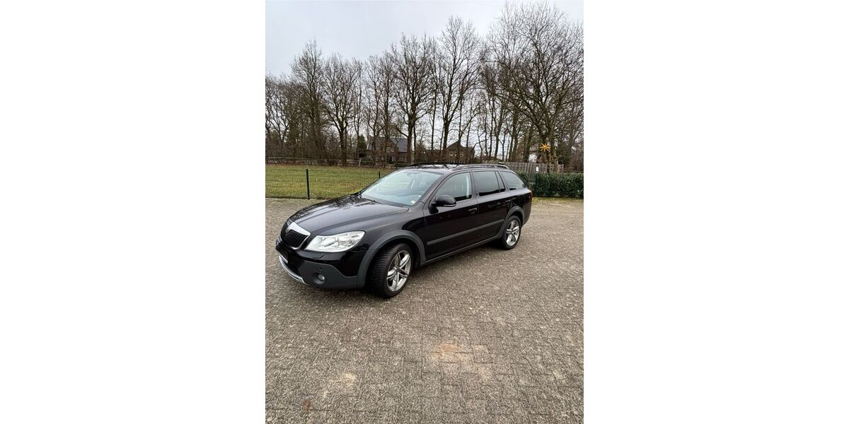 Skoda Octavia 197.000 km 5.995 &euro; Lathen 49762