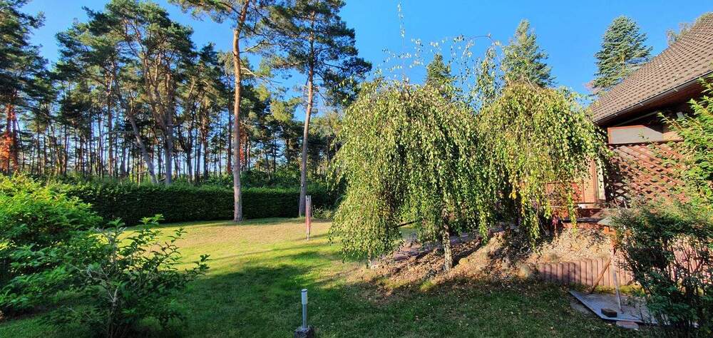 Für die große Familie mit Waldzugang in ruhiger Sackgassenlage - Mehrfamilienhaus, Wohnhaus Gorleben | Angebot:23974168
