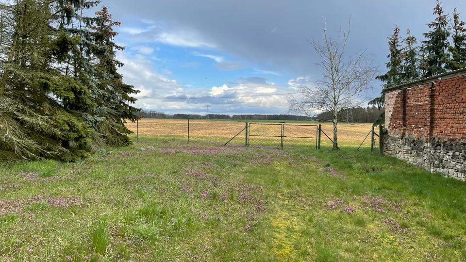 Einfamilienhaus Stendal - 179.000&euro; | Angebot:26678046
