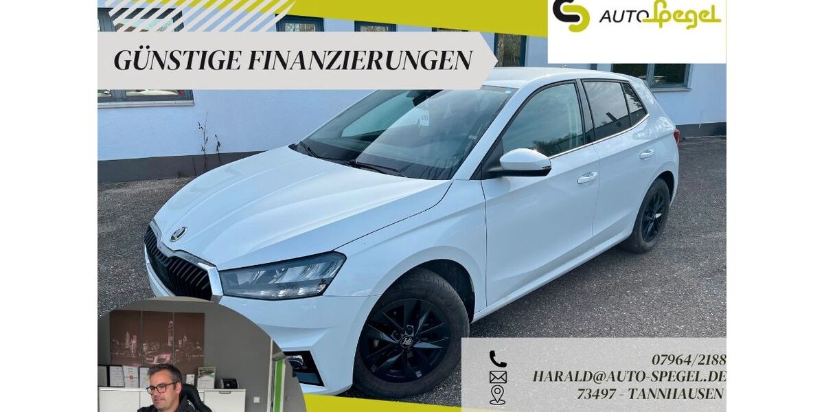 Skoda Fabia 11.098 km 16.390 &euro; Tannhausen 73497