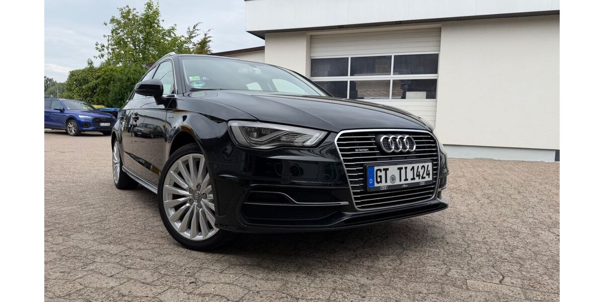 Audi A3 193.000 km 9.900 &euro; Werther 33824