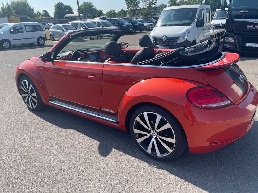 Beetle