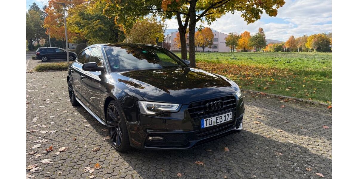Audi A5 182.000 km 16.900 &euro; Balingen 72336
