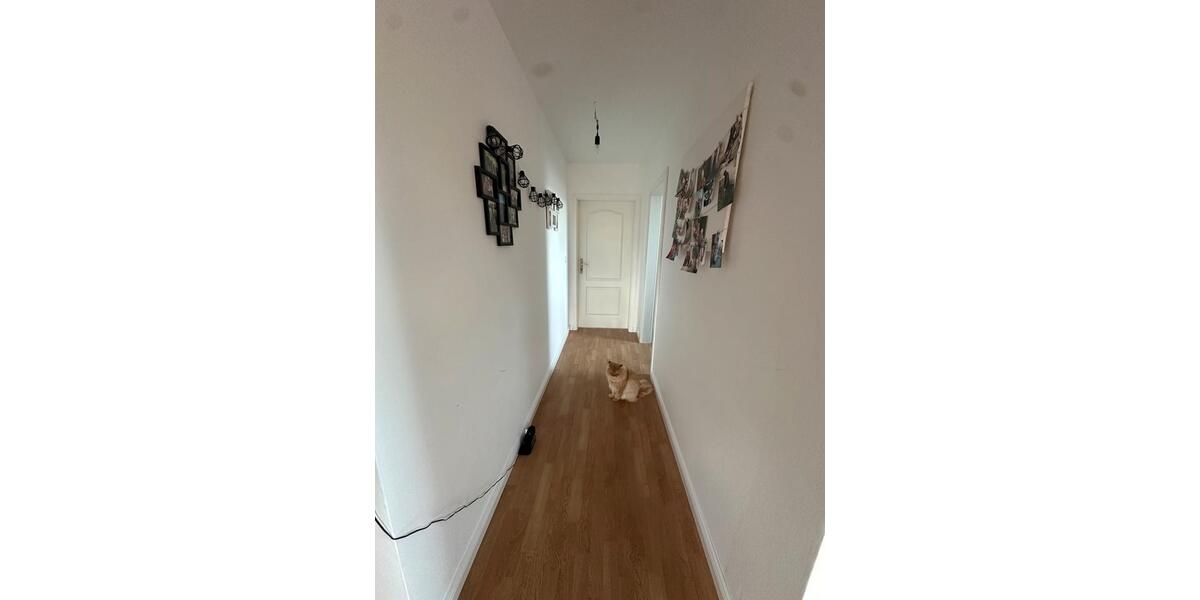 Dachgeschoßwohnung Aukrug - 2.5 Zimmer, 72 m&sup2;, 1.000&euro; | Angebot:23803338