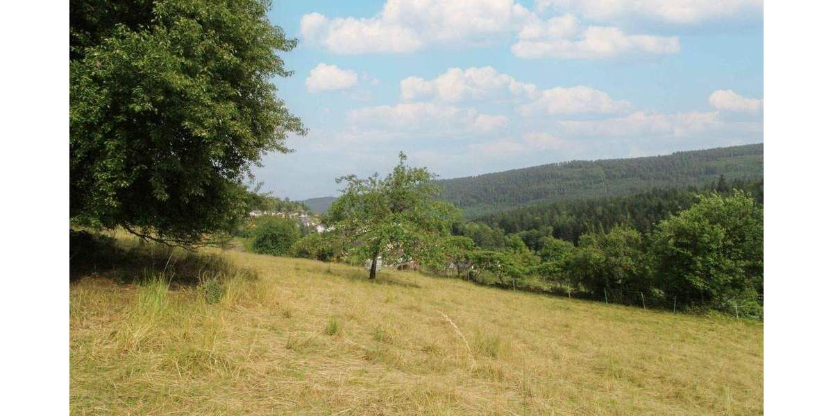 Grundstück Bad Wildbad Sprollenhaus - 124.500&euro; | Angebot:25167852