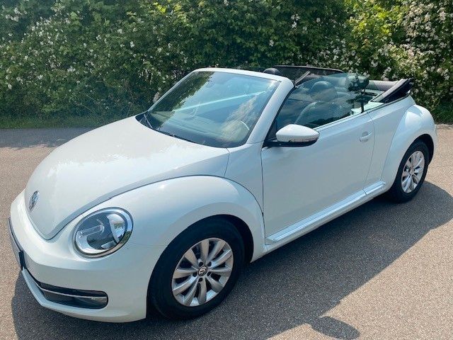 Beetle