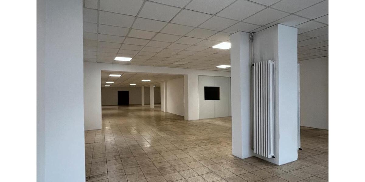 Gewerbeobjekt Höchstädt an der Donau - 1.400&euro; | Angebot:24789705