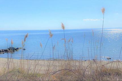 Wohnung, 55 qm, ab 01. Mai 2026 2 zimmer