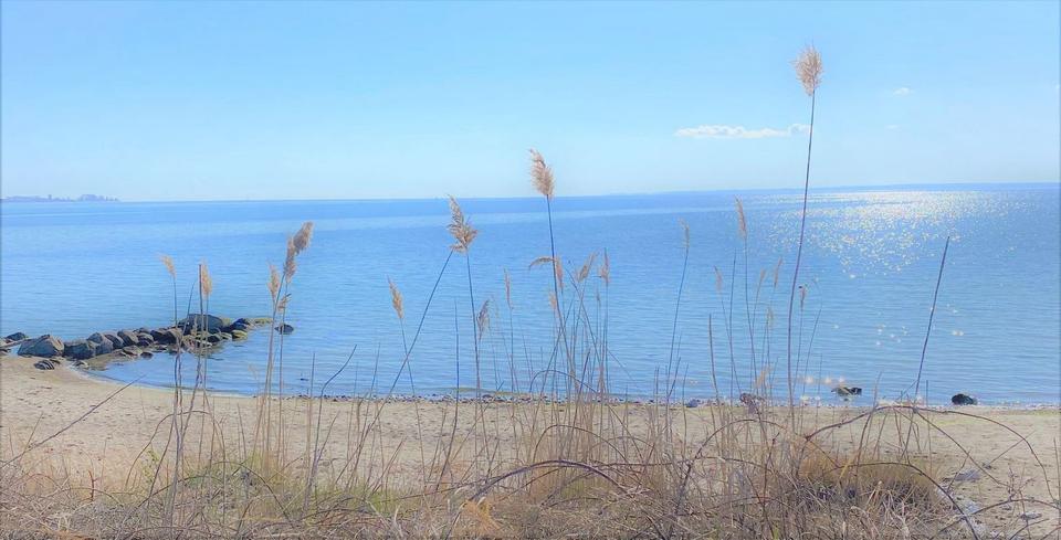 Wohnung, 55 qm, ab 01. Mai 2026 2 zimmer