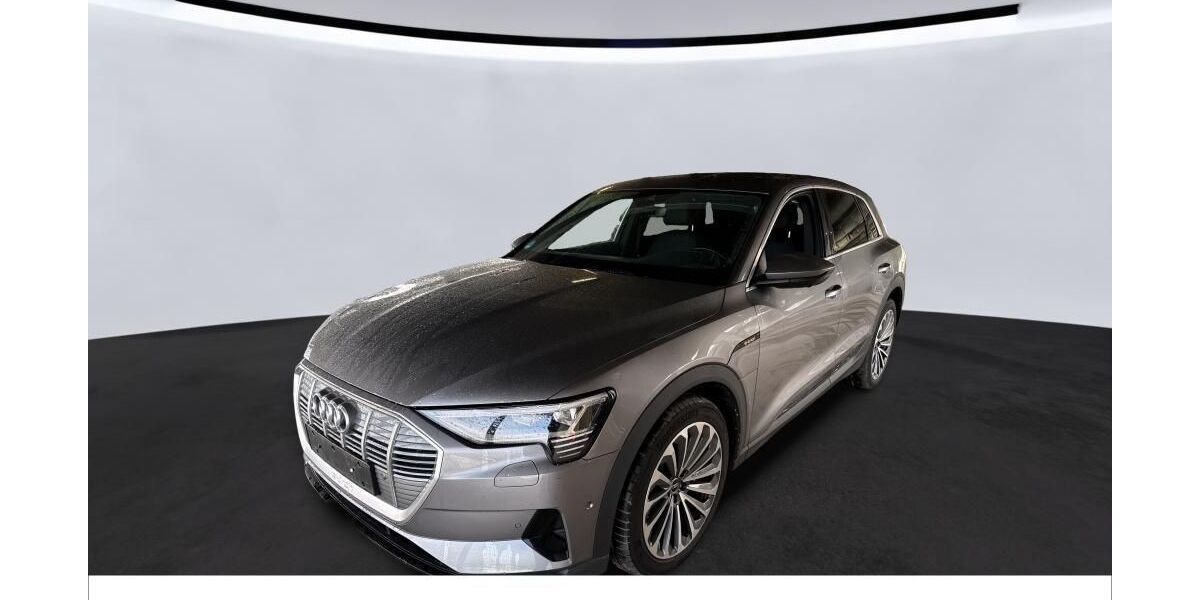 Audi e-tron 43.668 km 29.990 &euro; Lingen 49809
