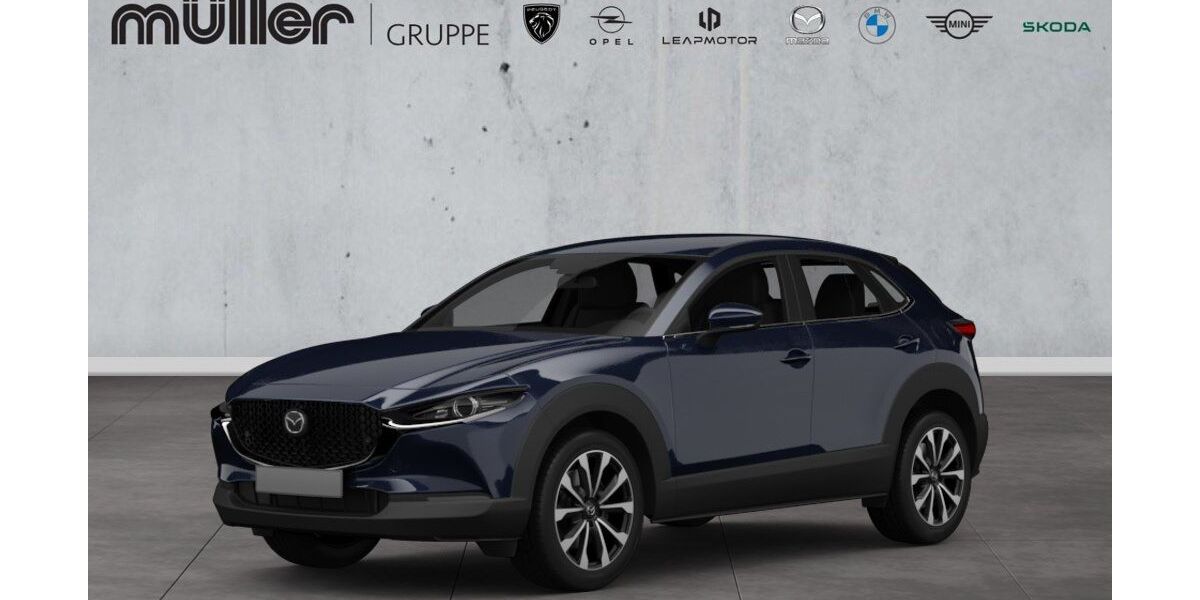 Mazda CX-30 28.563 km 25.906 &euro; Losheim am See 66679