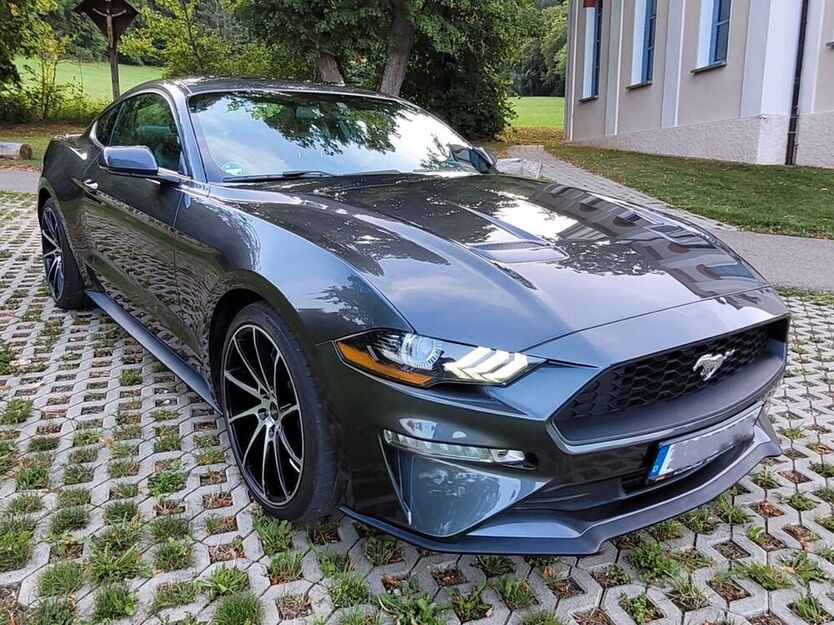 Mustang