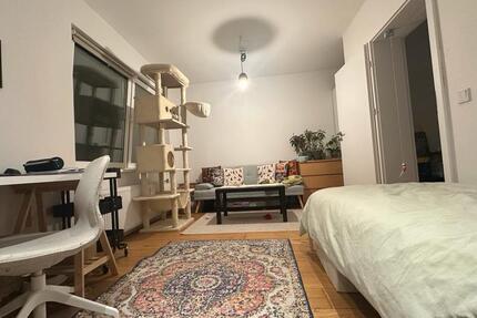 Wohnung 24116 1 zimmer