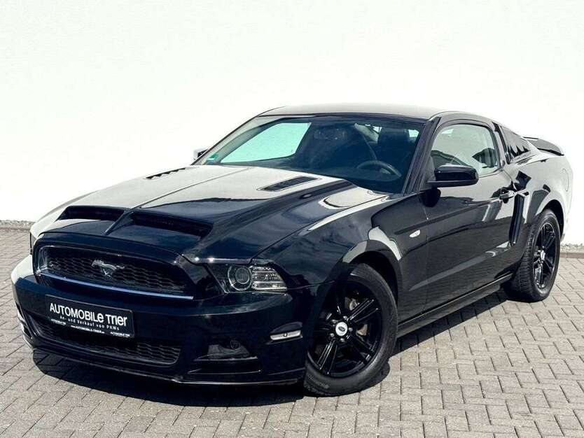 Mustang