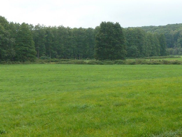 Alleinlage mit 100 qm Haus, Scheunen und 92 Hektar Land - Einfamilienhaus Uckerland | Angebot:19801660