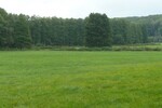 Alleinlage mit 100 qm Haus, Scheunen und 92 Hektar Land - Einfamilienhaus Uckerland | Angebot:19801660