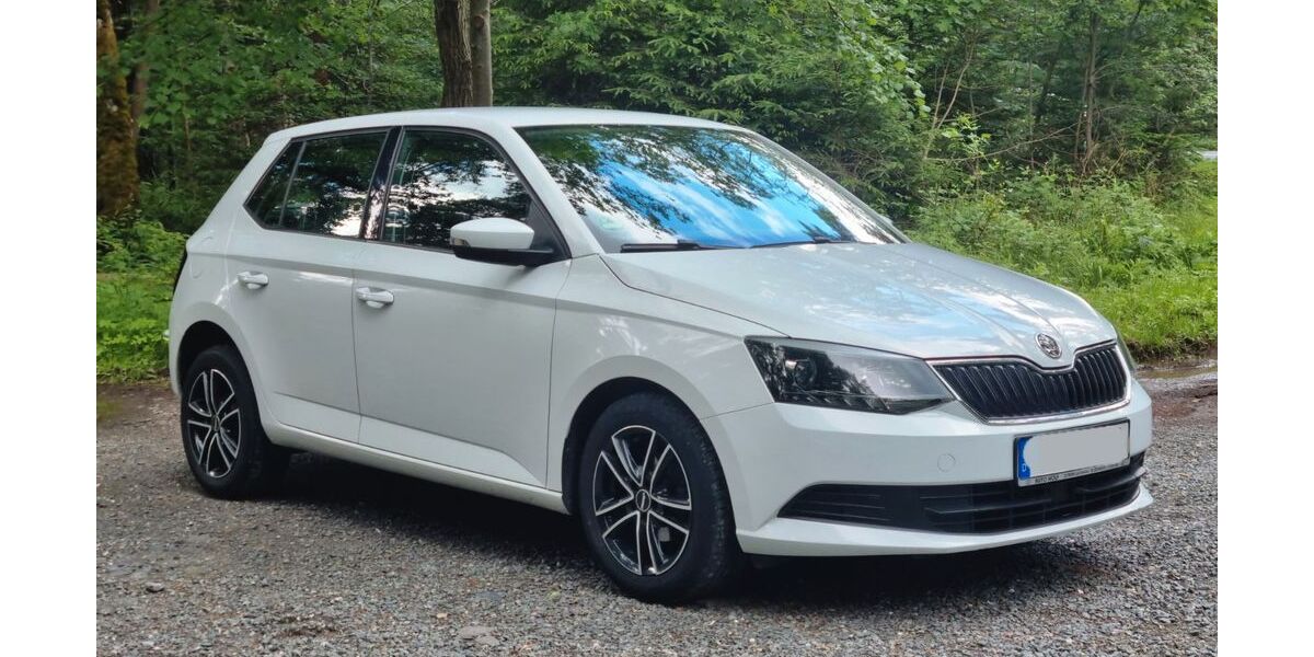 Skoda Fabia 146.900 km 6.000 &euro; Neustadt an der Orla 07806
