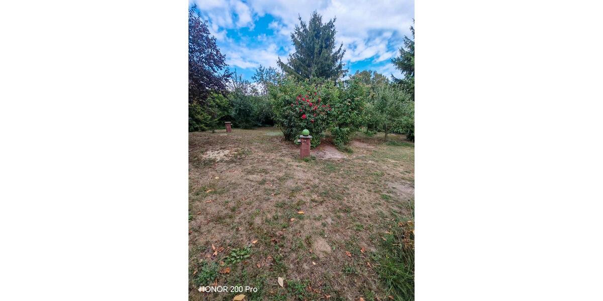 Einfamilienhaus Bad Schmiedeberg - 6 Zimmer, 180 m&sup2;, 215.000&euro; | Angebot:27244152