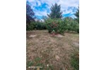 Einfamilienhaus Bad Schmiedeberg - 6 Zimmer, 180 m&sup2;, 215.000&euro; | Angebot:27244152