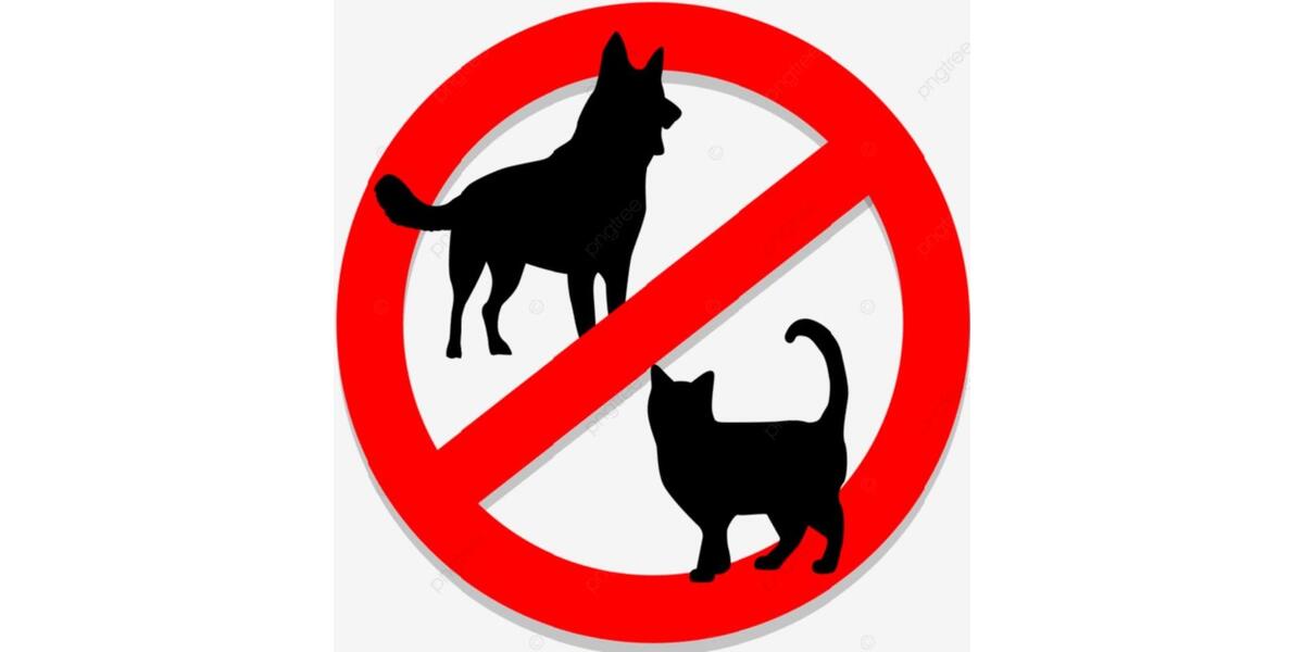 Dachgeschoßwohnung Neuss - 2.5 Zimmer, 67 m&sup2;, 1.150&euro; | Angebot:24693714