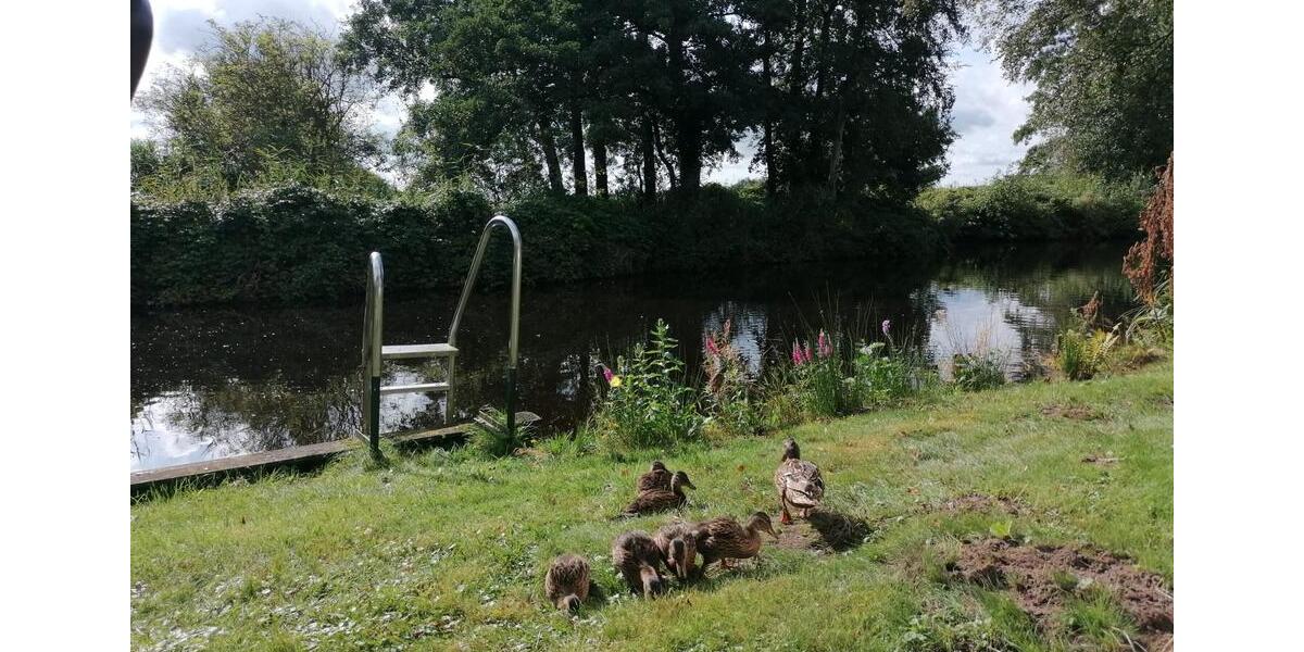 Einfamilienhaus Südbrookmerland - 120.000&euro; | Angebot:26870424