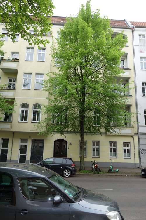 Wohnung zum Kaufen in Berlin 298.000 € 66.96 m²