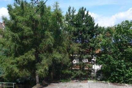 großzügige 2-Raum Wohnung mit Balkon in ruhiger Lage