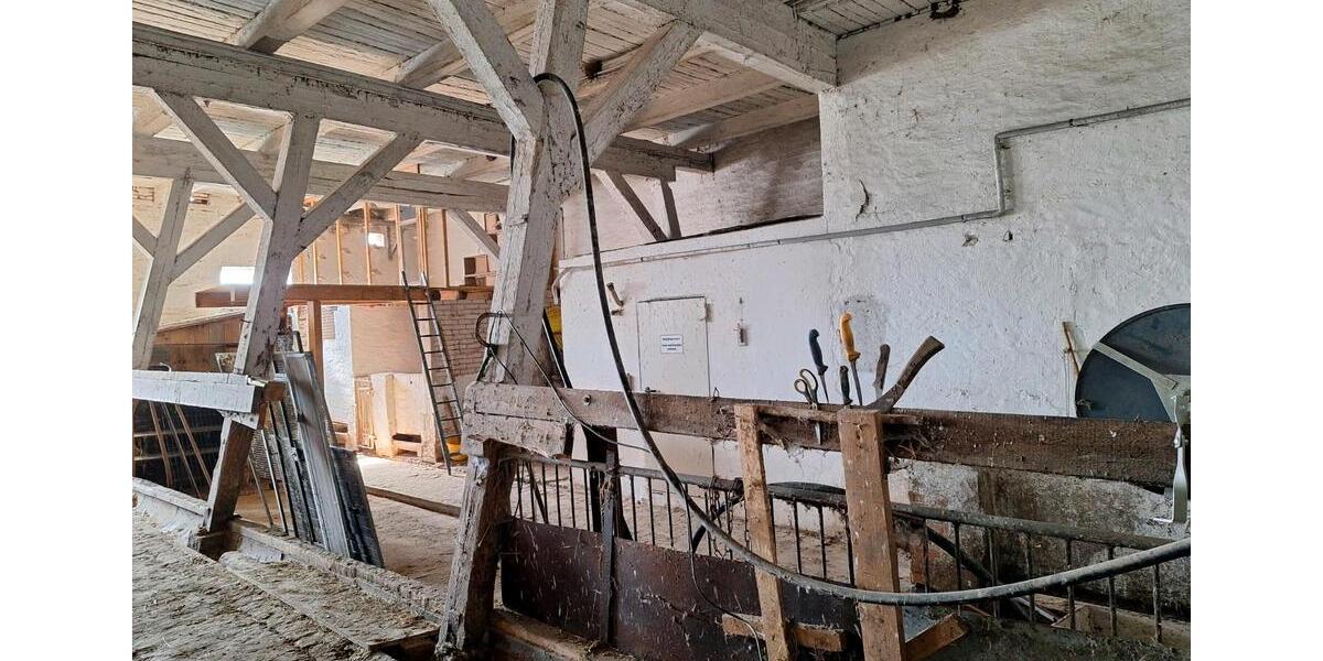 Doppelhaushälfte Malchin - 6 Zimmer, 140 m&sup2;, 159.000&euro; | Angebot:26145007