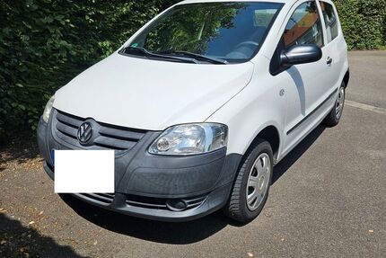 VW Fox