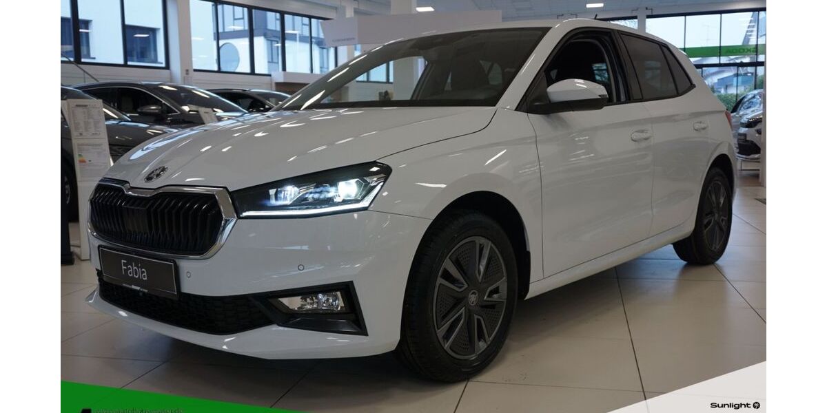 Skoda Fabia 3.900 km 27.950 &euro; Waldshut-Tiengen 79761