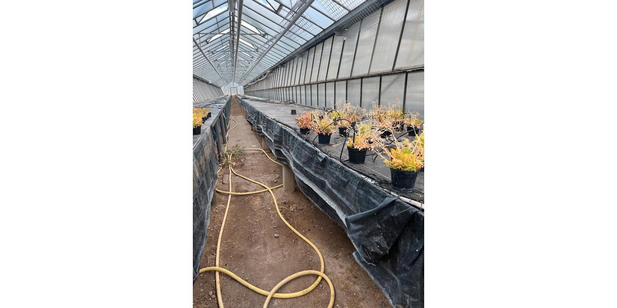 Gewerbeobjekt Obertshausen - 2&euro; | Angebot:20110778