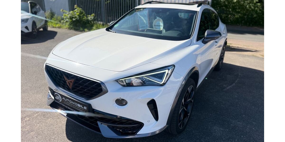 Cupra Formentor 40.525 km 23.990 &euro; Trappenkamp 24610