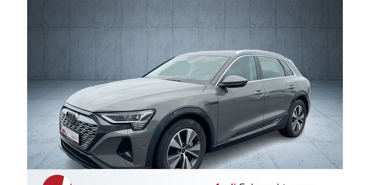 Audi Q8 e-tron 30.386 km 59.540 &euro; Neutraubling 93073