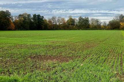 Grundstück zu verkaufen in Frankfurt am Main 59.900 € 3568 m² - Grundstück Frankfurt am Main Bonames | Angebot:26145645