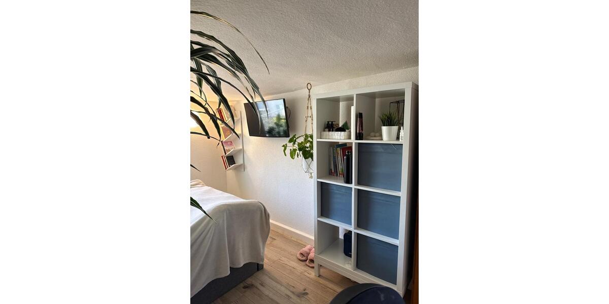 Doppelhaushälfte Ulm Donautal - 6 Zimmer, 128 m&sup2;, 1.530&euro; | Angebot:25992351