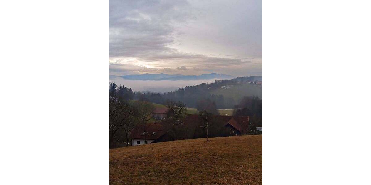 Mehrfamilienhaus, Wohnhaus Wiesenfelden - 659.000&euro; | Angebot:25984480