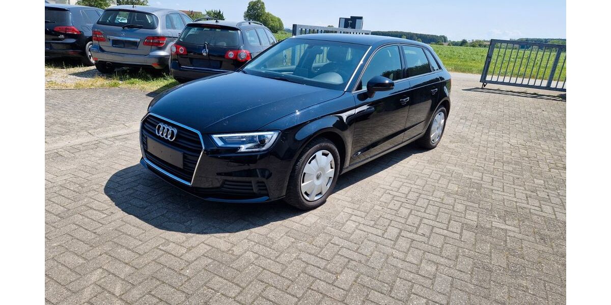 Audi A3 65.900 km 14.300 &euro; Oberessendorf 88436