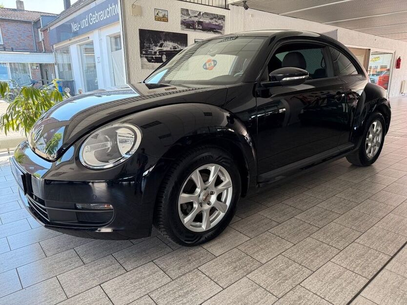 Beetle