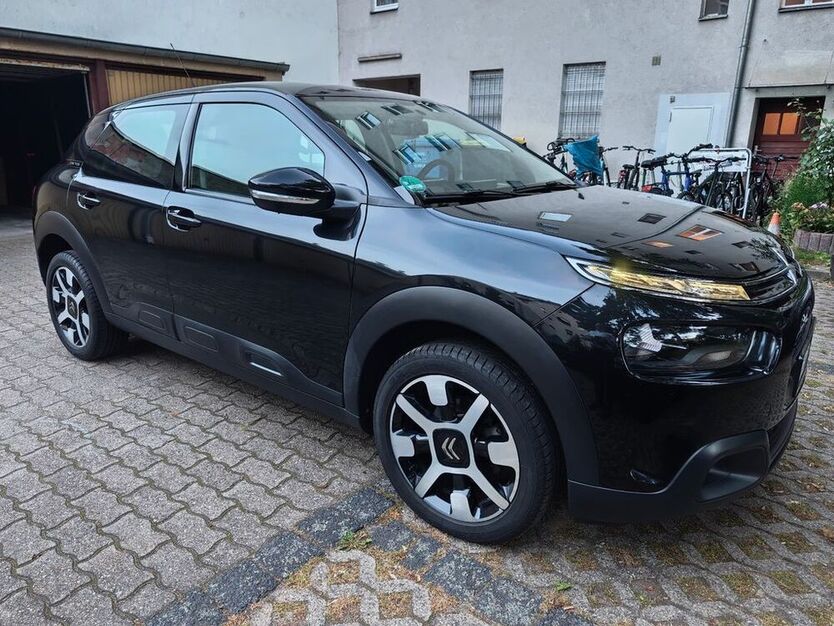 C4 Cactus