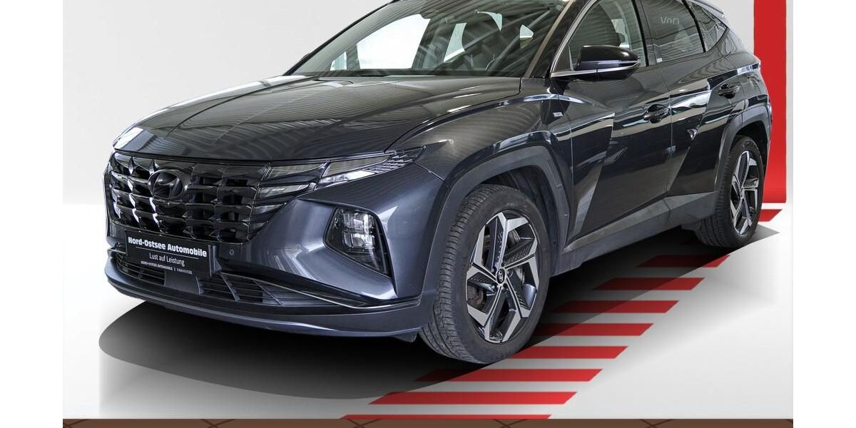 Hyundai TUCSON 95.888 km 23.980 &euro; Schwarzenbek 21493